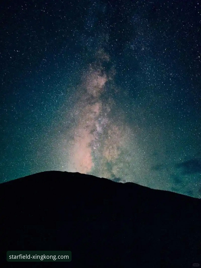 星空官方网站手机版 星空官方网站手机版 vs 传统网页端:移动体验的全面革新