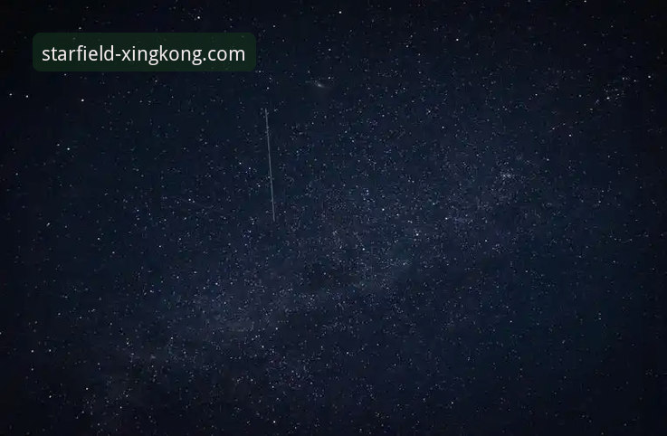 星空官方网站下载实用指南：从官网入口到手机版安装全解析